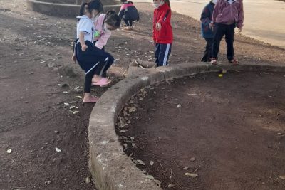 HOẠT ĐỘNG LAO ĐỘNG VỆ SINH TRƯỜNG LỚP Ở TRƯỜNG TH NGUYỄN BÁ NGỌC